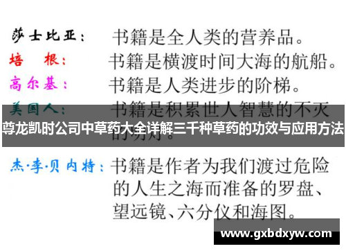 尊龙凯时公司中草药大全详解三千种草药的功效与应用方法